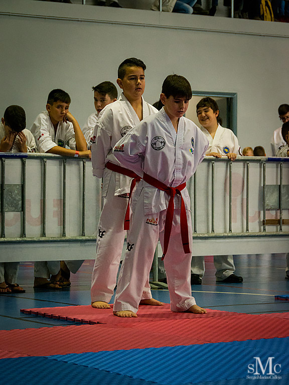 COPA SEUL, 2017  (31).JPG